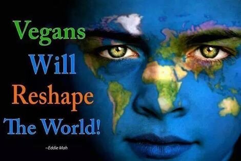 FAQ: Factory Farming -- the high cost of meat!
